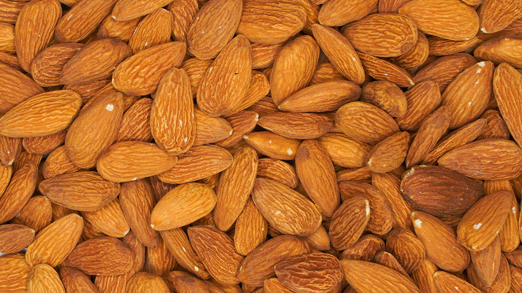 American Almonds (American Badam)