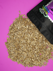 Sunflower Kernels
