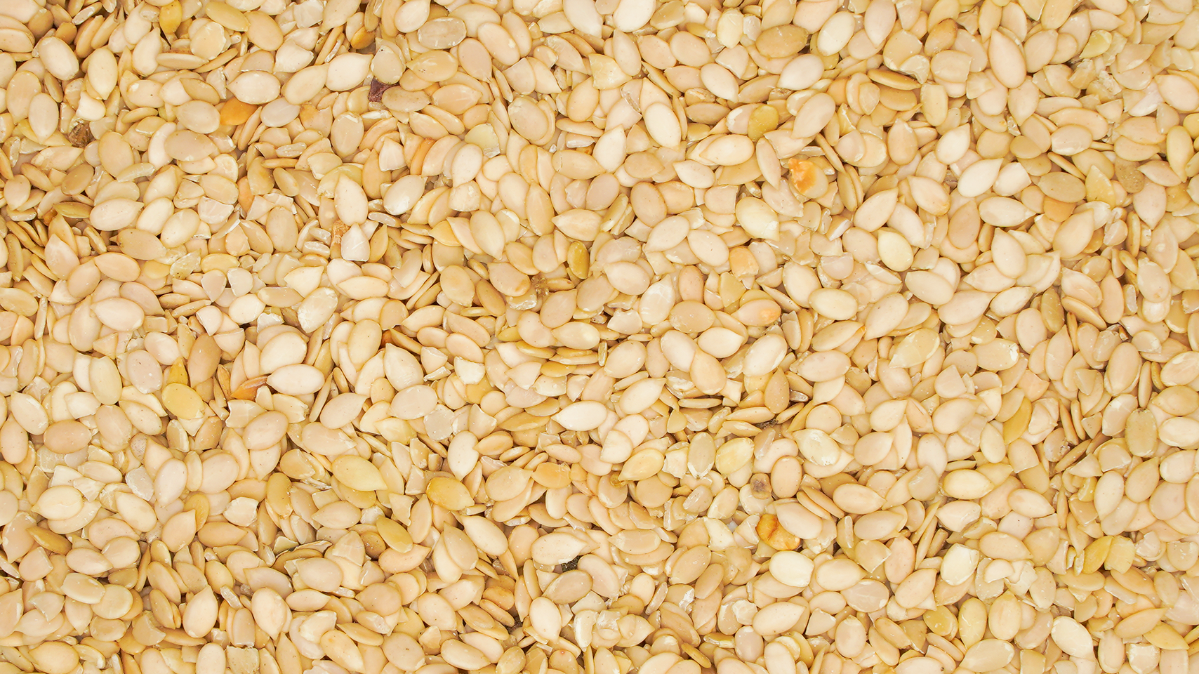 Char Maghaz (Four Seeds)