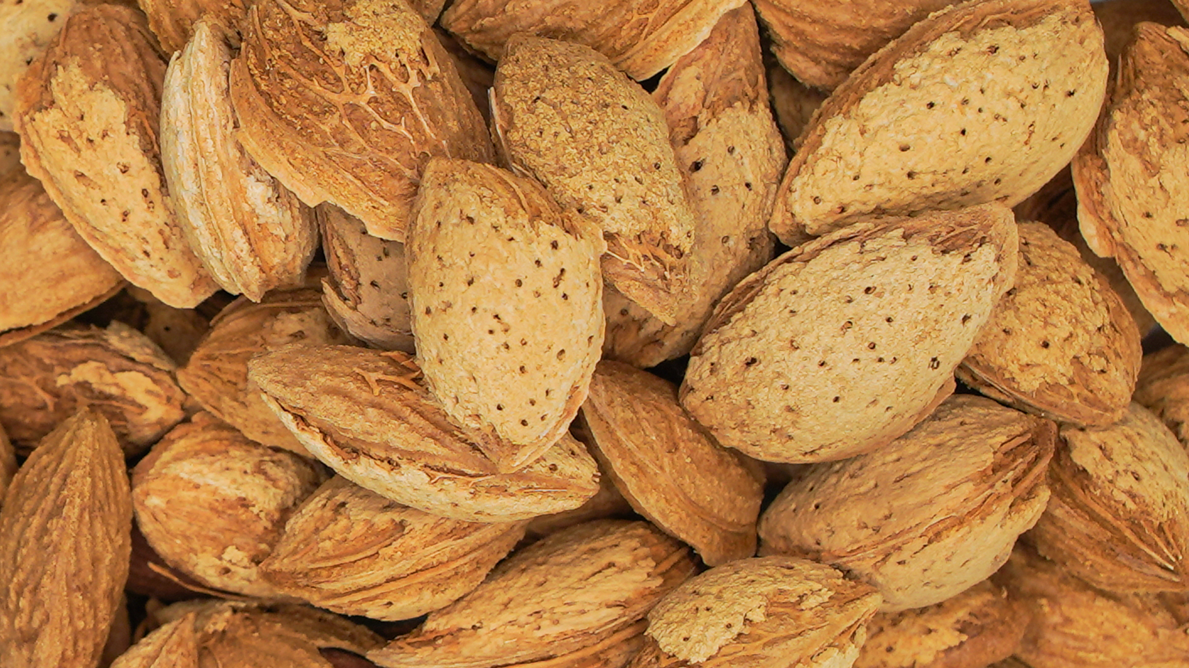 Kaghazi Almonds (Soft Shell Almond)