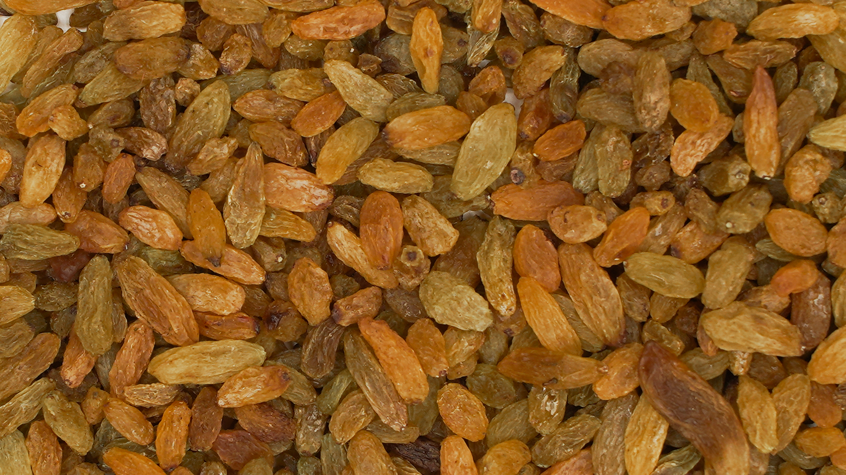Sundur Khani Kishmish