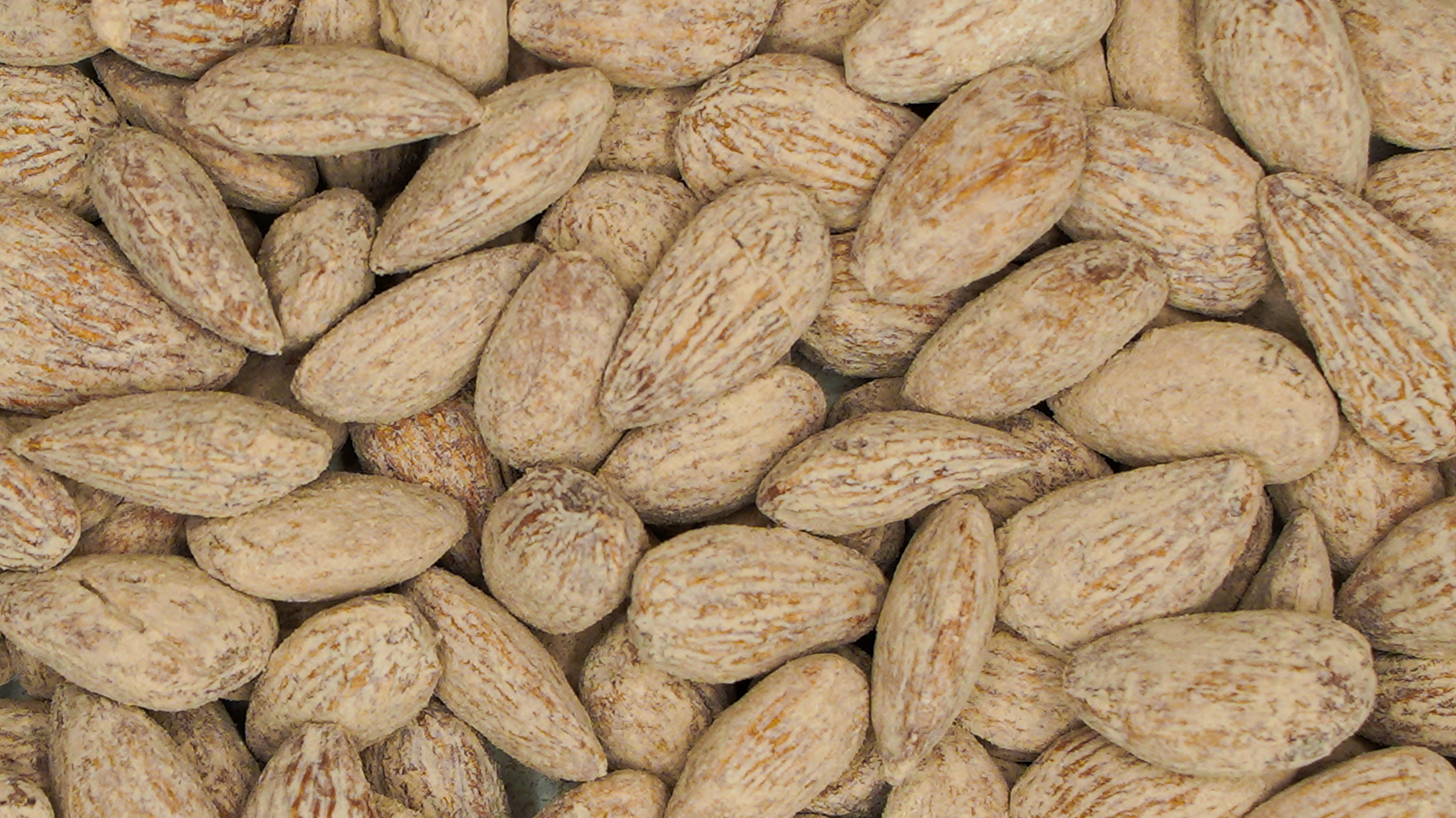 Roasted Salted Almonds (Namkeen Badam)