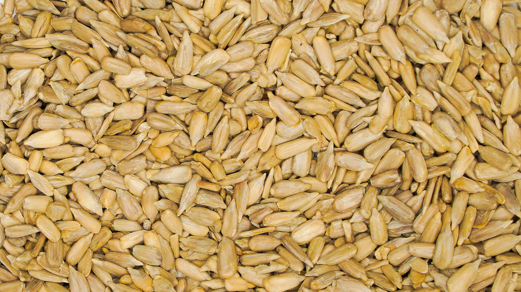Sunflower Kernels